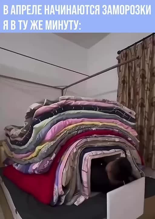 �� �� �� ������, ��� ���� ����������� ������������? �� ��������� ������ ��������� ������� ��� ����� �� -5, ������� ������ ���� � ���� ����������