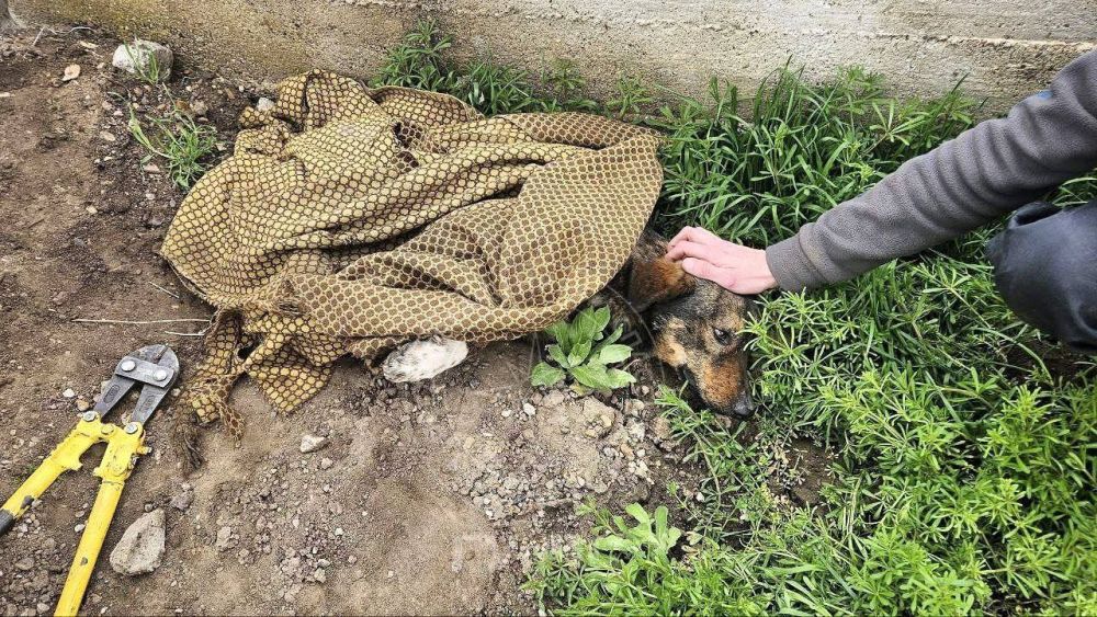 � ������� ������ ������������ �������� ��������� �������