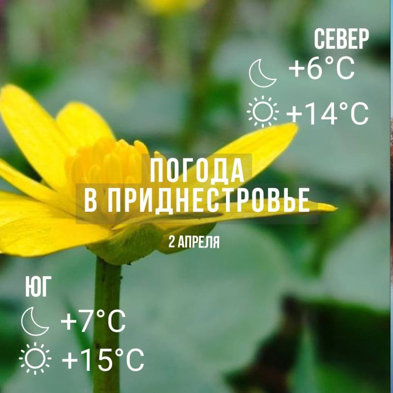 ���� � �� +15��. ��� ������������ �������