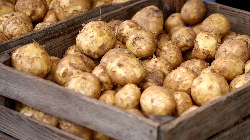 ������� ������ ������������� �������� ���������