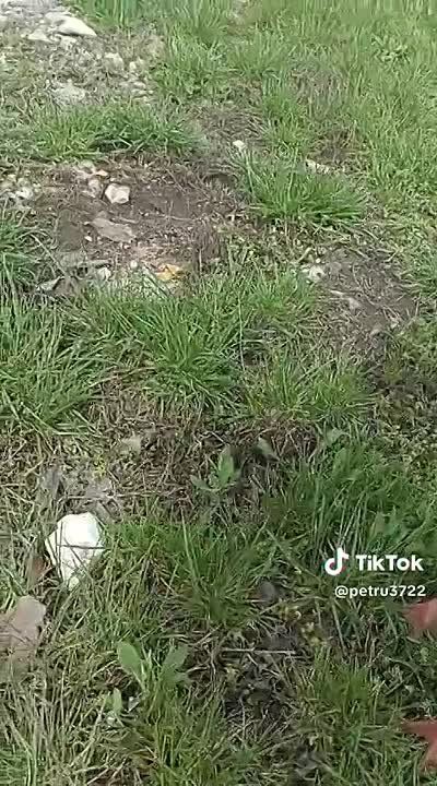 ����������� ������� � ����� ������ � ���������� ������������