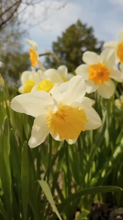 ������ �� �������