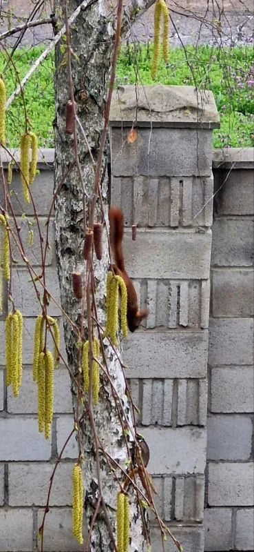 � ������ ��������� �������� ������� �������