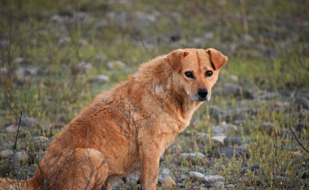 ������ ���� � ���������� ��� ���������� ��� ������� ���� ��������� �������� �������