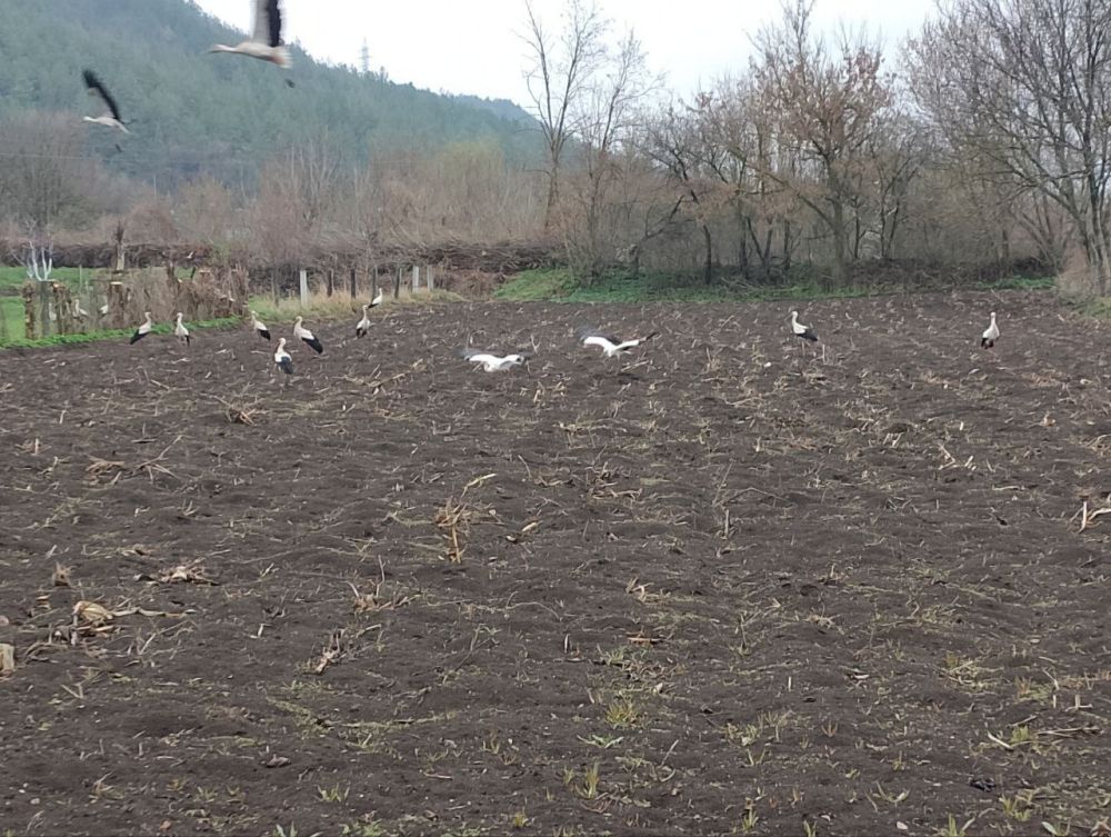 ����� � ���� ������� ��� ����� � ������