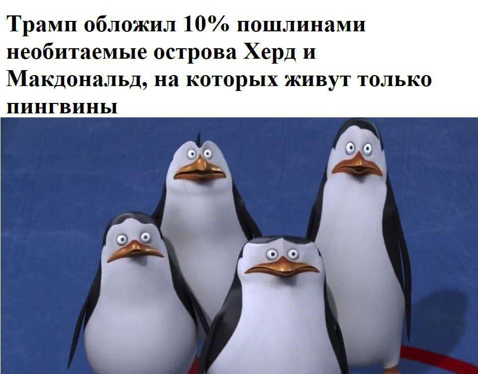 ��������: ������, ���������, ���� � �������, ���� �������!