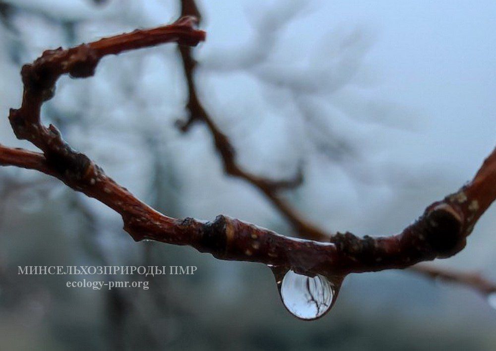 ������� ����!. ������� ������ �� 3 ������