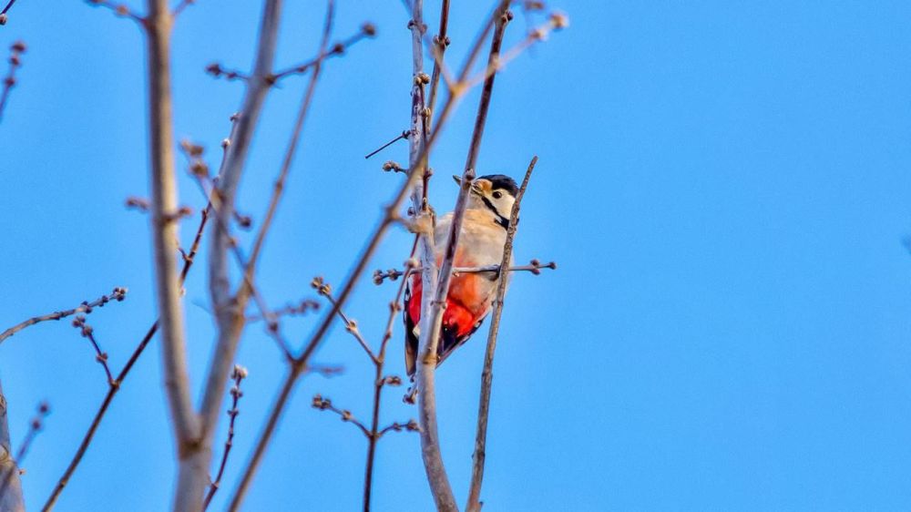 �������� �������� ������� ���������� ��������� ����� � ��������� ������