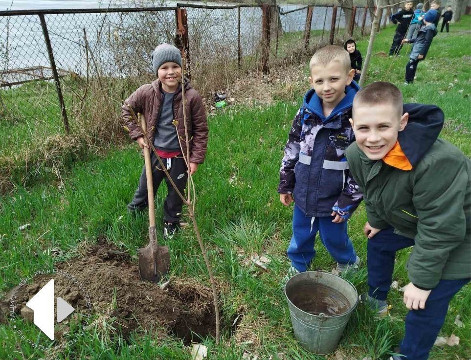 ���� ������������ ������ ���������� ������� � ����� ������