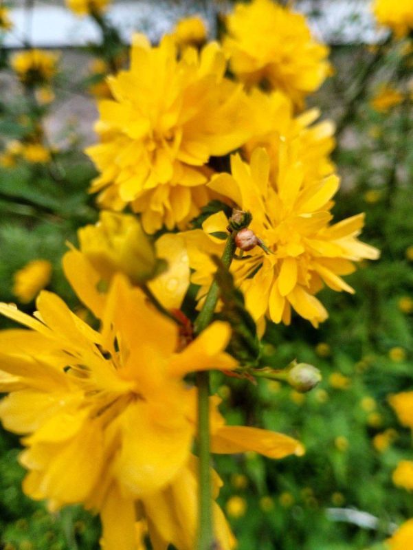 ������������� ��������