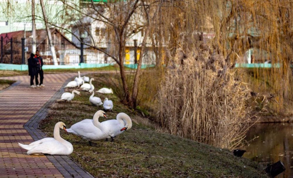 ����� ������� ��������.... ��� �������� ������ ������ ������ ������: ����������� ������ ��������� �������� �� �������� � ��������� �������������� �����. ������ ��������