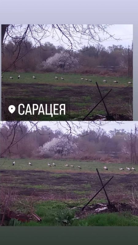 ������� ���� ������ ��������� � ��������� ���� �������