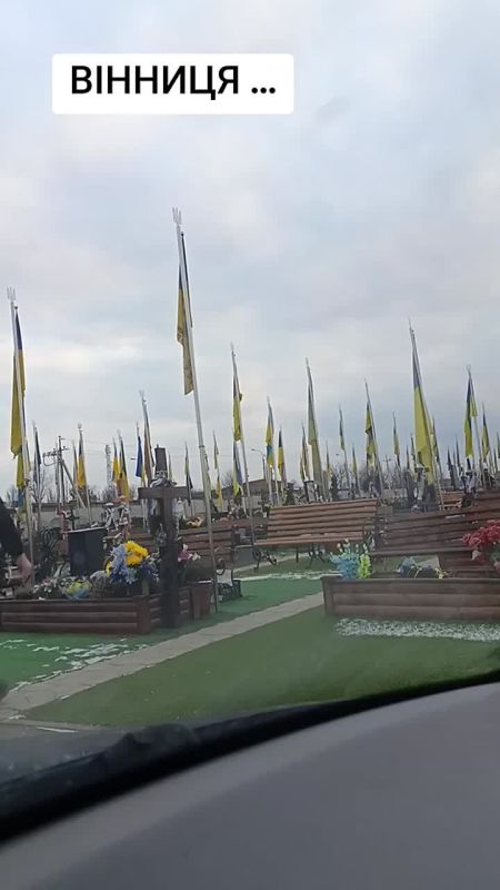 �������. �������� �������� ������������ �������� ��������� ������