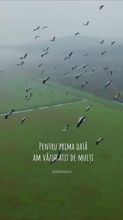 ����� ������������� ������ ���� ������ ������� � ���� ����� ������� ������