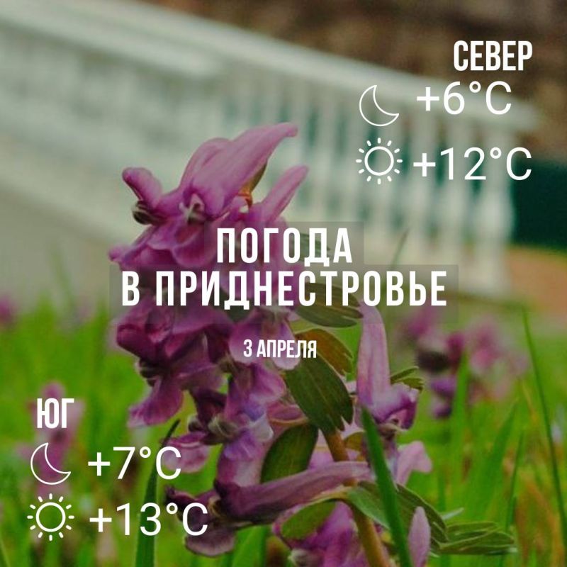 ���� � �� +13��. ��������� ������ �����