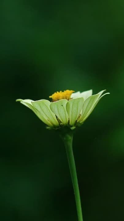 ������ �� �������