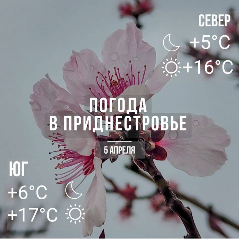 ���� � �� +17��. ������� �����