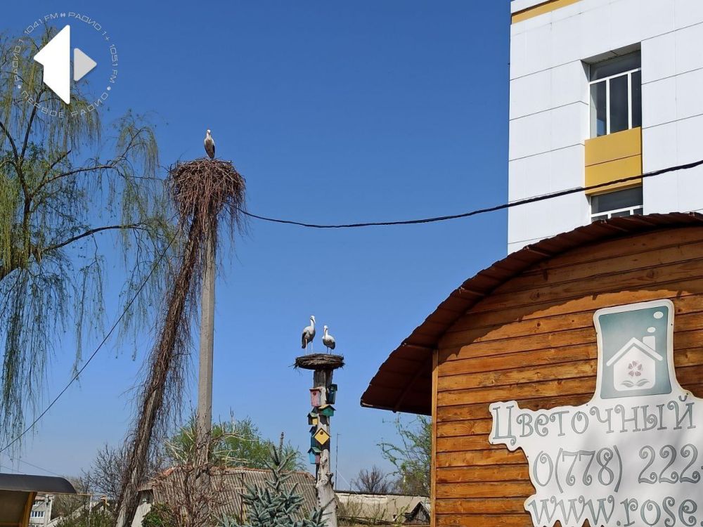 В Дубоссарах у «Днестровского сада» скоро будет пополнение