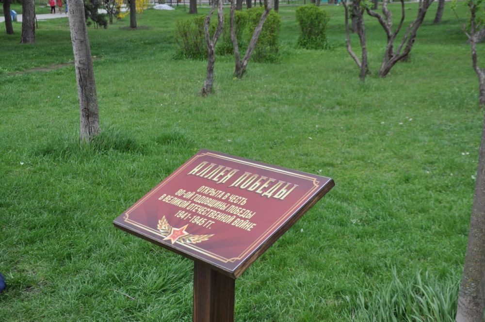 � ���� ��� ����� 40 ������� �������� ������, ���������� ������ ���������, ����� ������ ������ ������