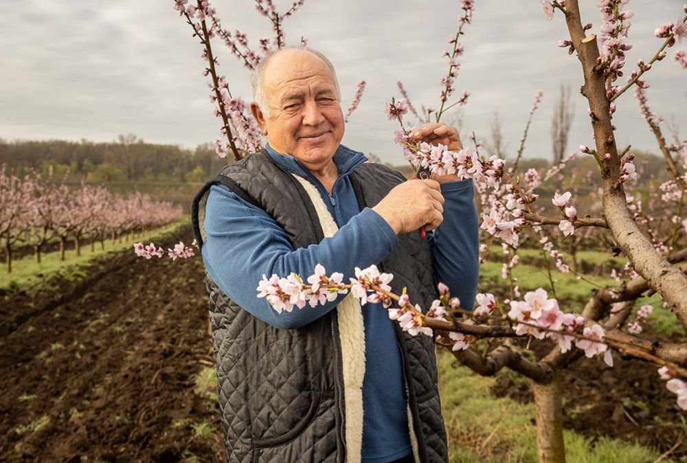 ���������, �����, ������, ����, ��������, ������� �������� �, �������, ������ ���������� ������� ������������ � ��� ��� � ��� ���� ������ �����-������� ������, ����� ���� ����� � ����