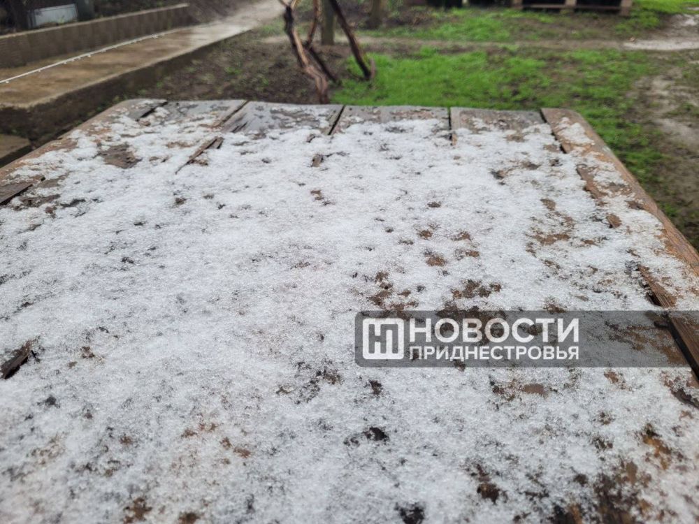 ���������� ���� � �����