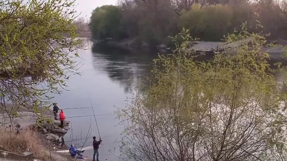 ��������������� �����:. � ������� ������� ������