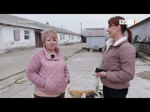 � ������� ������� ���� �� ������� �������� �� 25%