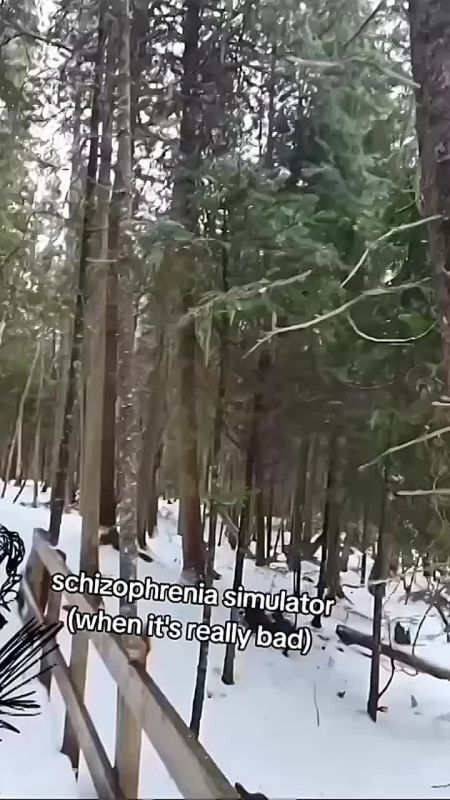 ������ � ����������� �������� �������, ��� �������� ���������� ������� � � ����������� � ��������� ��������������, ��������� �������� � ������ ������� �������� ����������