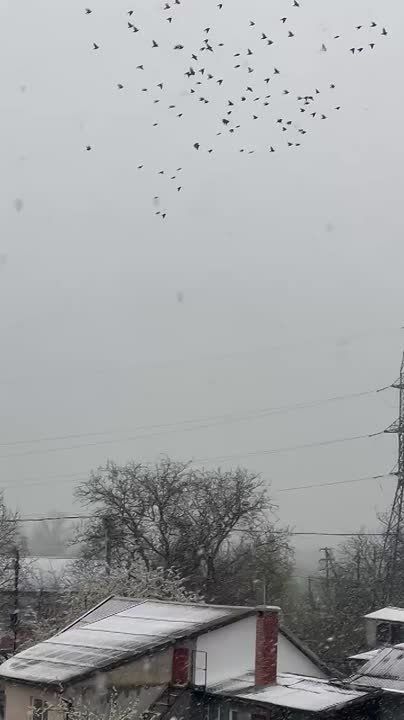 � ������������� ���� � ������