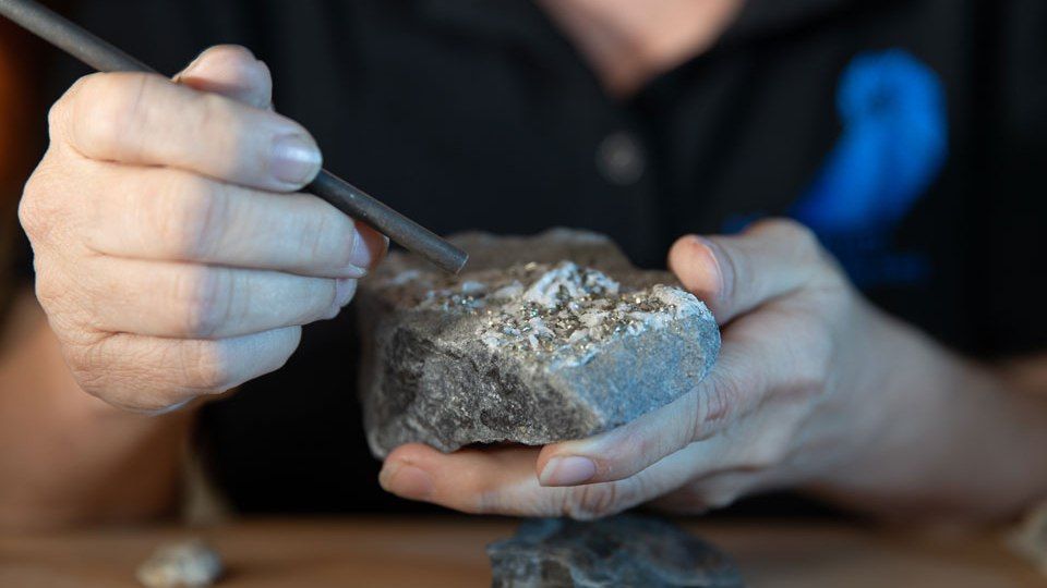 ��������� ��������� �������� � ���������������� ����������