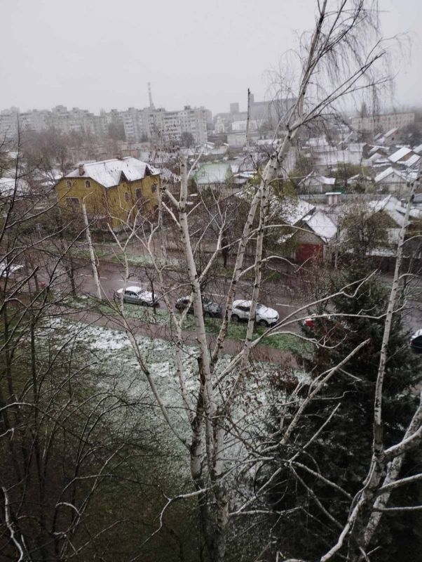 ��� ������� ����� ������ �����: �� ������ - �����