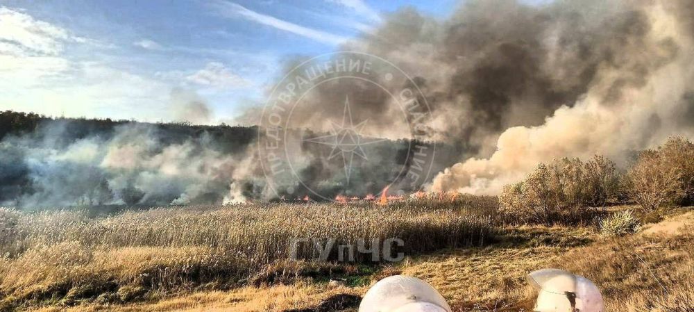 � ������������ ������ ������ ���� � ����� ������ � �������