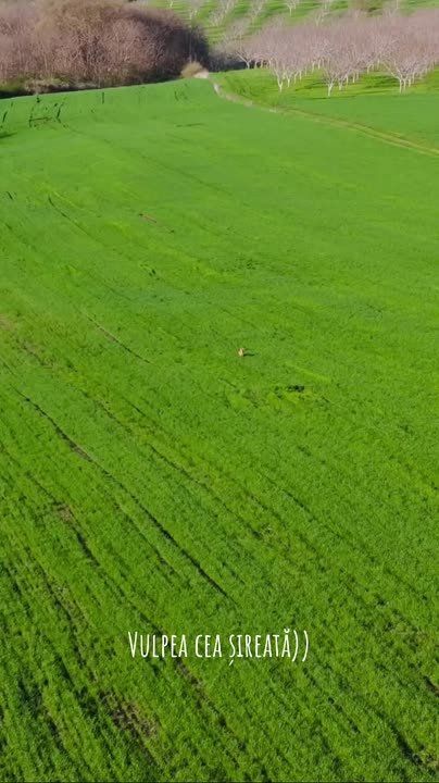 ���������� ���� ������������ ���� ����� �����