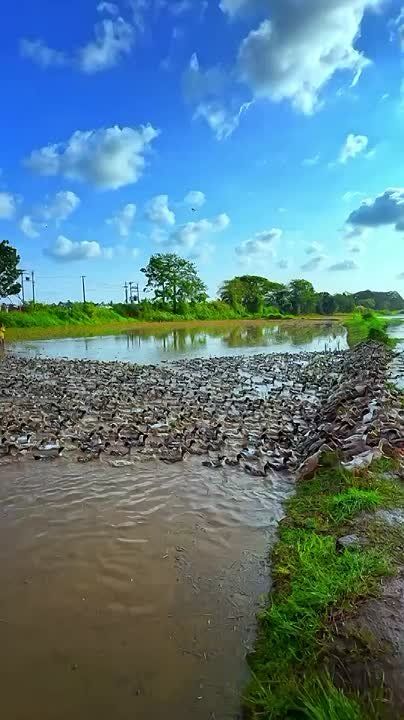 �������� ���������� ������, ����� ���� ������� ��������� ����� ������� ���� � �����