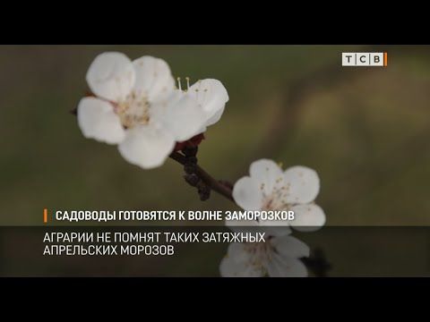 �������� ��������� � ��������� ����� ���������� ���� �����