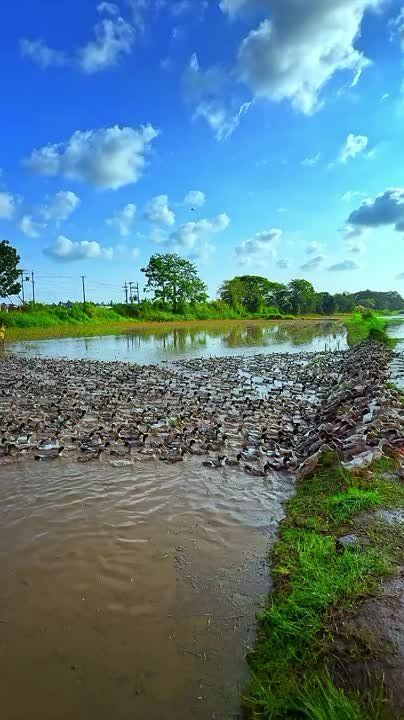 ������ ���: ����������, ��� ������ ���������� ������� ����