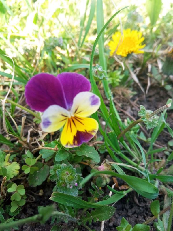 � ���������� ������� ������