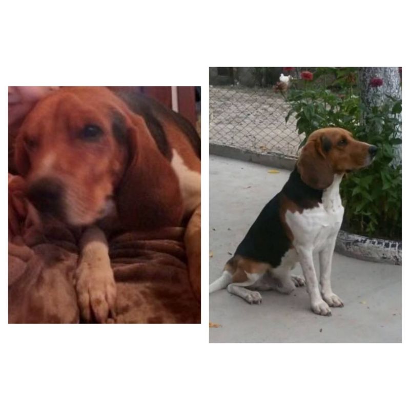 ���������� ������. ������ ������