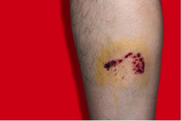 �� ��� ������ 2025 ���� �� ��������� � ��������� ���������� 353 ��������