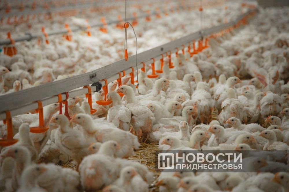 �������������� �������� � ������� �����������������