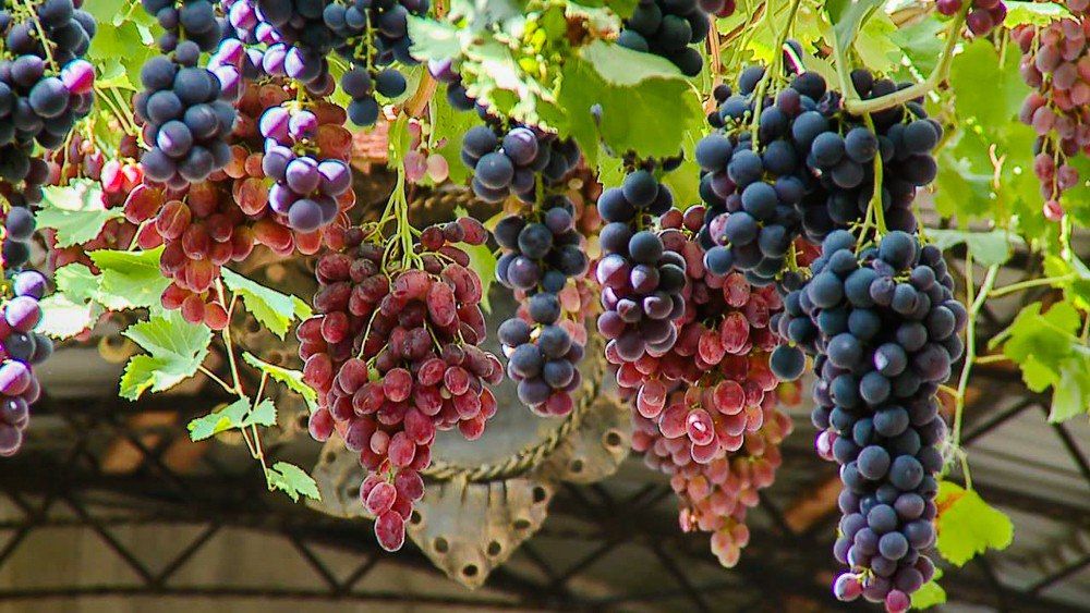 �������� ����� � ������������� � �������������