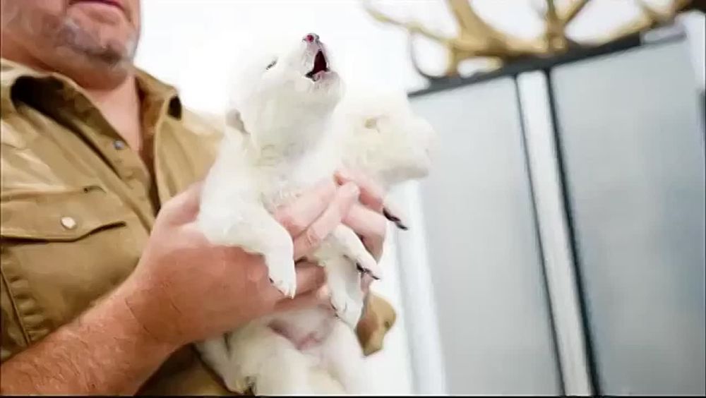 � ��� ���������� �������� ��� ������