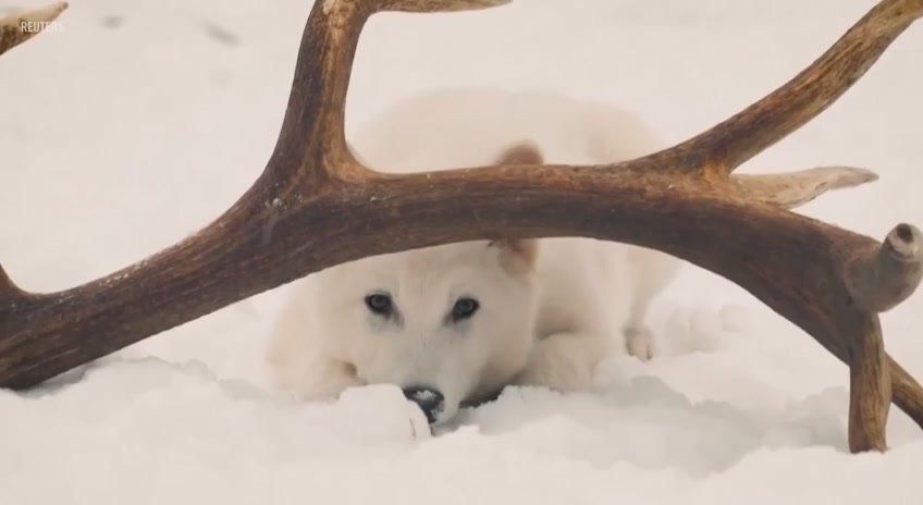 ������ ��������� ������� ����������� �������, ��������� ����� 12 000 ��� �����