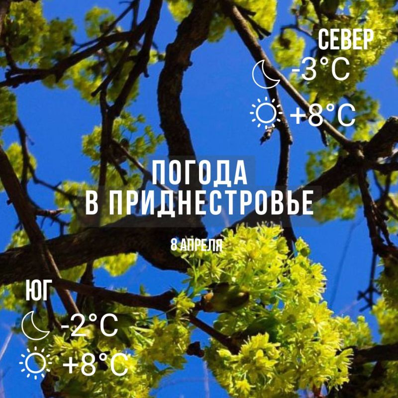 ���� � �� +8��. ��� ������������ �������