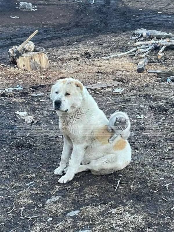 �� ���� ����������� ����� � �����, ������� ���������� � ������� � ���������-��������