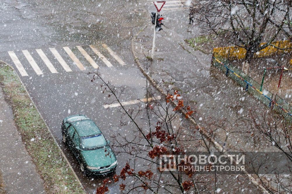 � ������� ��������� ������ ����� ����������� ������� �����������: ����� � �������� 15 �/� � ����