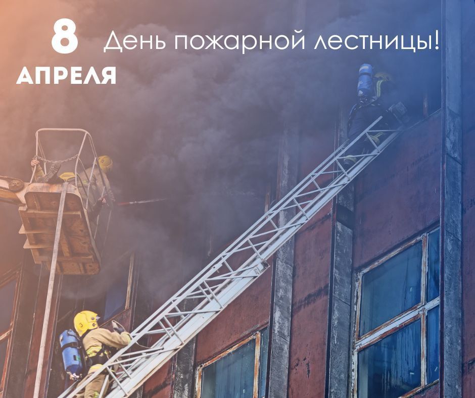 � ���� ��������, �������� ������������!