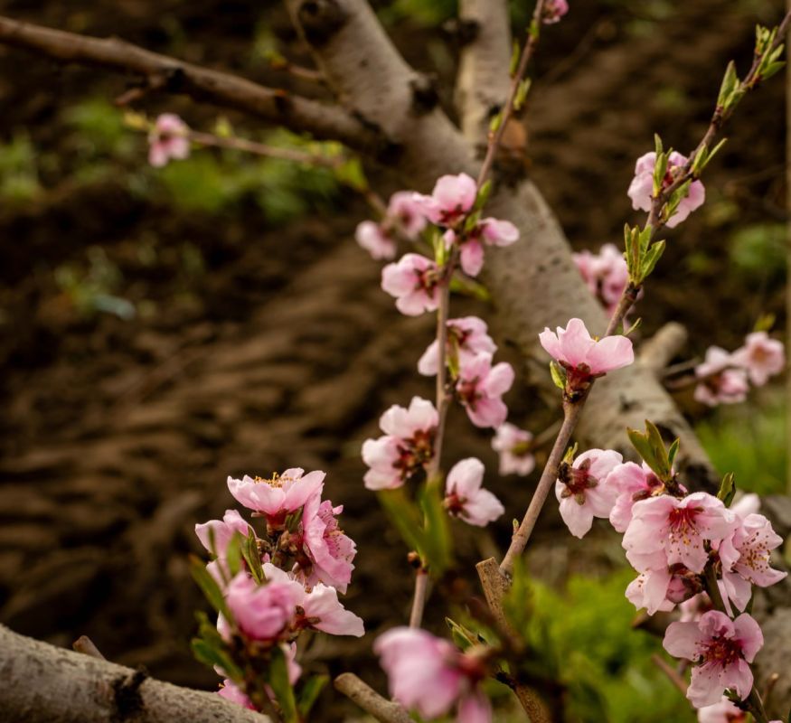 ������������� � �����.. ���� ������� �������