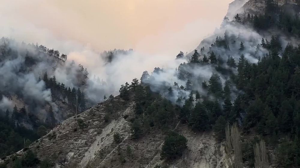 ������������� ������ �������