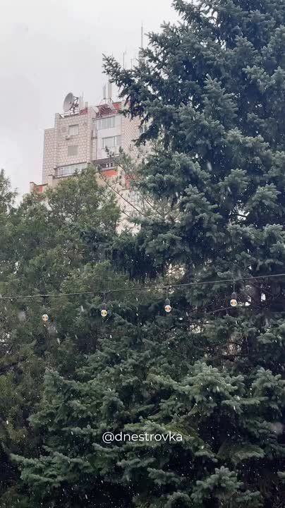 ��� ������������ ���������� ����